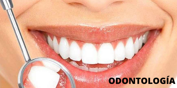 ODONTOLOGÍA